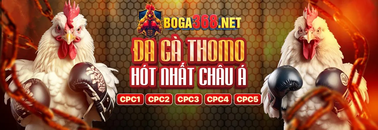 Khuyến mãi và ưu đãi tại cwin666 nhà cái